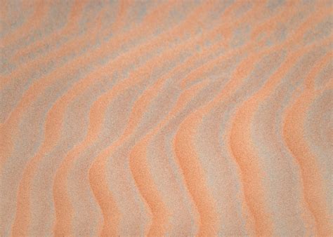 understanding texture  photography