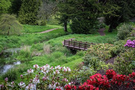 Gardens of Blarney Castle - Blarney Ireland Photograph by Jon Berghoff ...