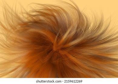 kinky hair twist  images  pictures