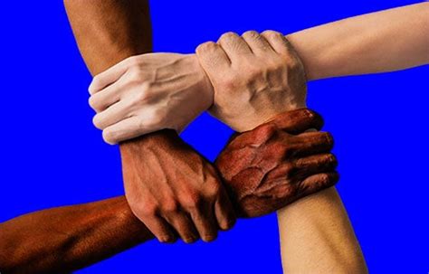 coalition building  commons social change library