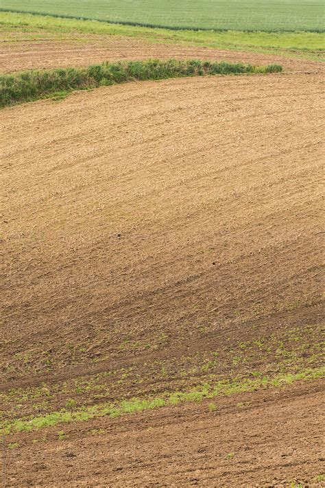 "Farmland In Central Europe" by Stocksy Contributor "Marilar Irastorza ...