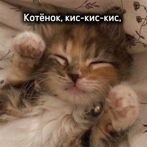 трек - Монеточка - кис кис кис #рек #рекомендации #монеточка - YouTube