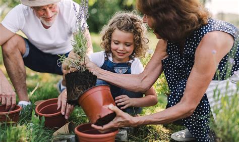 minor cuts  scratches medinformer