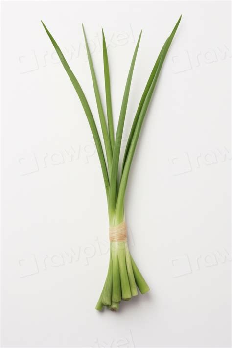 Vegetable plant green leek. AI | Premium Photo - rawpixel