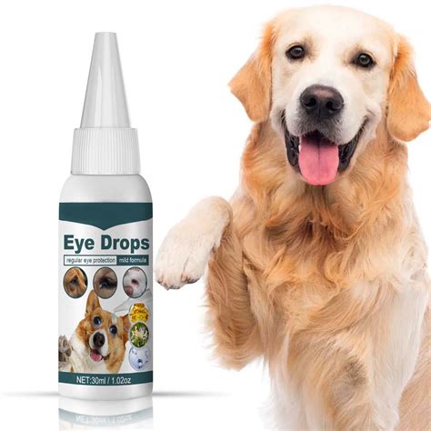 home remedy dog pink eye 3