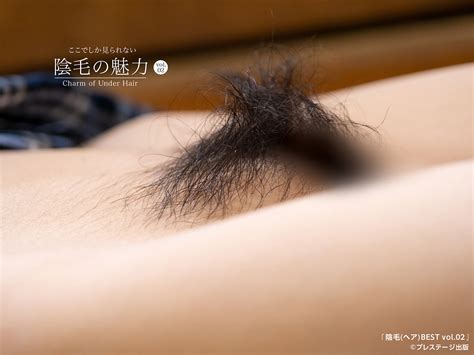 陰毛BEST vol.02 | プレステージ出版