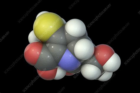 Imipenem antibiotic drug, molecular model - Stock Image - F035/4087 ... 
