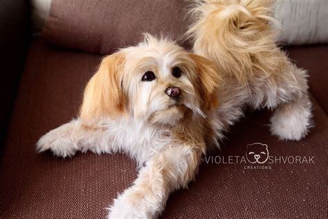 Stuffed Dog, Realistic Dog Toy, Dog, Puppy. MADE TO ORDER - Etsy