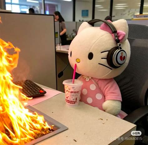 kitty cute memes  kitty memes