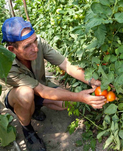 Support local communities in Ukraine | The Natural Adventure