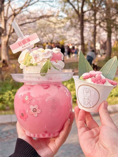 China Cherry Blossom Forecast & Spots 2026 - Klook Travel Blog