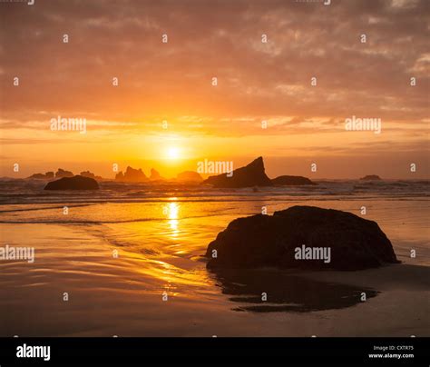 Bandon State Park, OR: Sunset at Bandon Beach with silhouetted ...