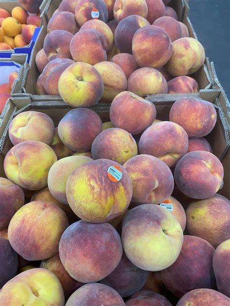 Beckley Park Market | Geelong VIC