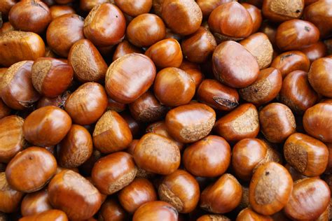 top view heap  chestnuts pile  ripe chestnuts  food background