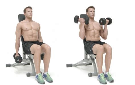 How to do the seated twisting bicep curl - Men's Health