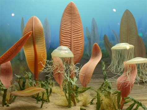 Collapse of Earth's magnetic field may have fueled evolution of life ...