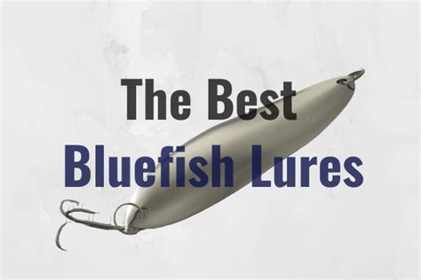 Want More Bluefish? Try These Secret Lures for Maximum Strikes
