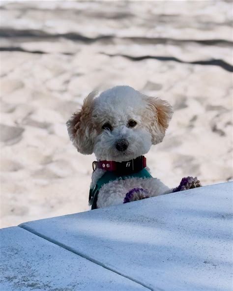 Jeanette Daria | Coco Starr (@lil_coco_starr) • Instagram photos and videos