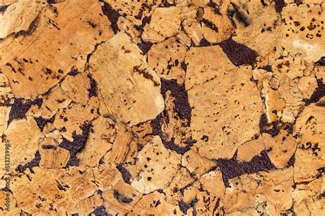 beautiful natural texture  cork tree  decorative painted streaks