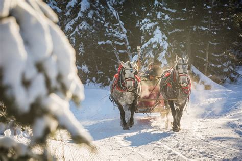 Holiday Horse Drawn Sleigh Rides at Fernie Alpine Resort