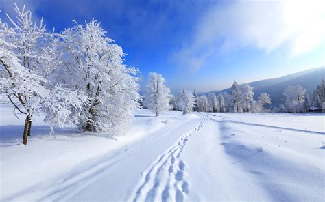 My Favorite Season: Winter (Essay, Speech, Article, Paragraph)