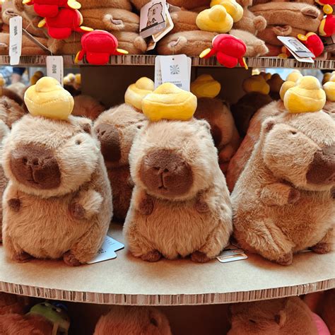 ¿Qué significa la llegada de un colibrí a mi casa? | Glamour