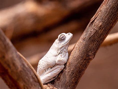 October 2020 Wildlife Sightings