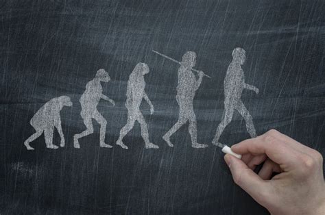 explanation  evolution
