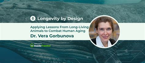 Dr. Vera Gorbunova—Applying Lessons From Long-Living Animals to Combat