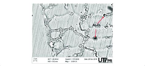 sem   coating performed  blend   scientific diagram