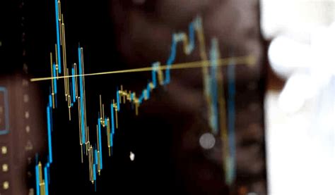 cv finance guide competences exemple  fisio