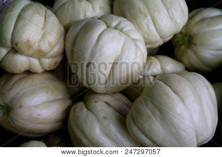 Guisquil Images, Illustrations & Vectors (Free) - Bigstock