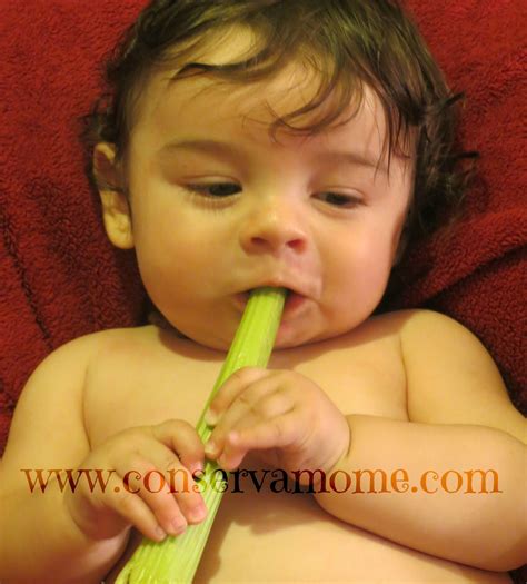 Teething Tips & Help - ConservaMom