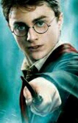 Harry Potter Book Of Memes - Gangster Harry - Wattpad