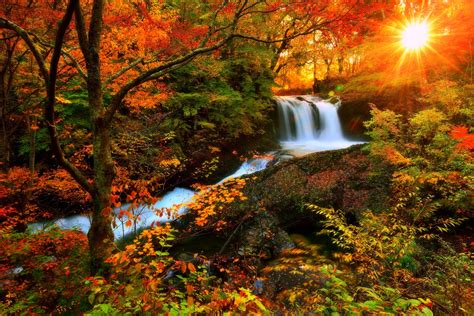 Free photo: Fall season - Autumn, Nature, Turning - Free Download - Jooinn