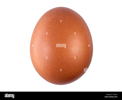 egg shell structure  res stock photography  images alamy