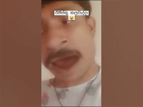 ඊජිප්තු කලවැද්දා 😂👍 #sldk #sldofficially - YouTube