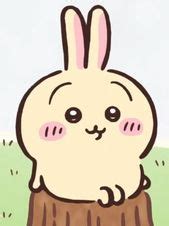 usagi chiikawa icon