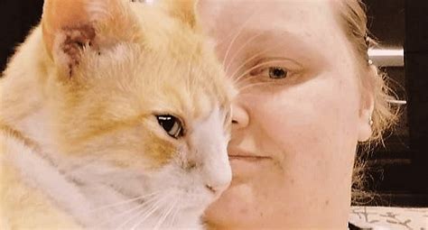 Therapy Cats Make a World of Difference