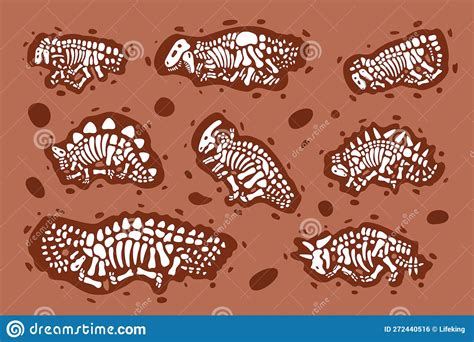 Set of Dinosaur Fossils Bones. Triceratops, Tyrannosaurus, Kentrosaurus ...