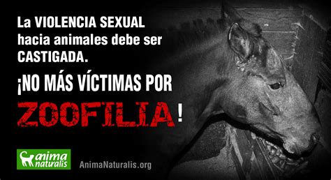 O Que Significa Zoofilia - En este país donde es legal la zoofilia, ahora busca prohibirla ...