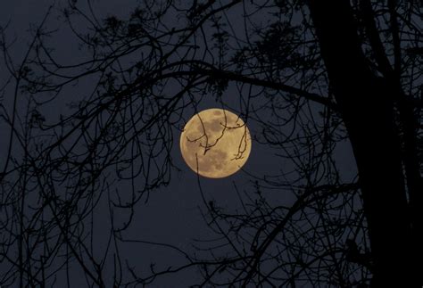 Mid-Autumn Festival: Top Places to Gaze at the Moon like a Local | the