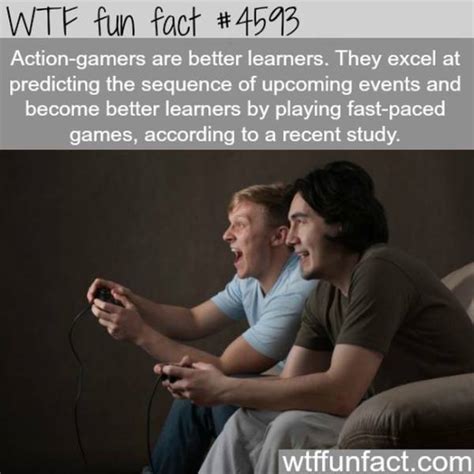 weird facts     crazy   true  pics izismilecom