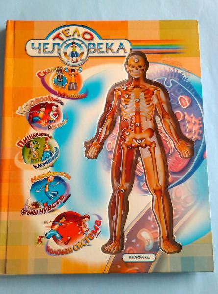 Тело человека, Ольга Петровская - «Занимательная и полезная книга ...