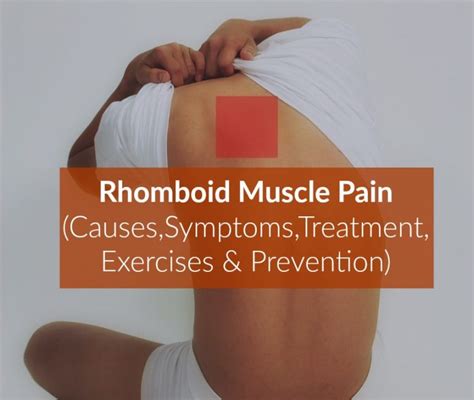 Rhomboid Muscle Pain (Causes,Symptoms,Treatment-Relief,Exercises ...