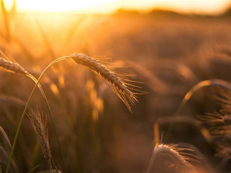 Olam Group announces US$625 million Sharia-compliant financing facility