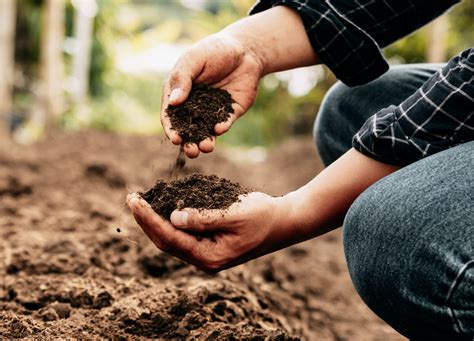 Global hotspots for soil conservation are poorly protected - Earth.com