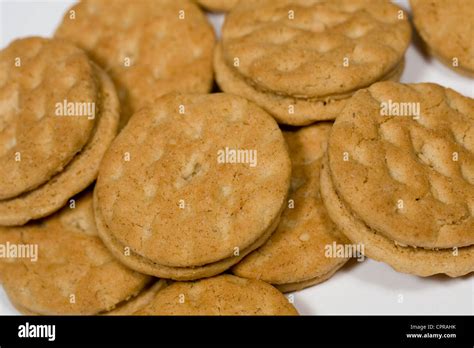 Do-si-dos Girl Scout cookies Stock Photo, Royalty Free Image: 48456399 - Alamy