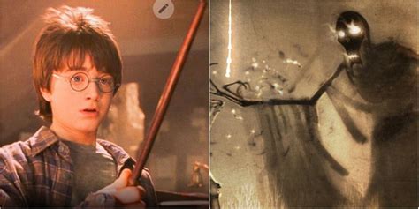 10 Things You Didn't Know About Wand Woods in Harry Potter