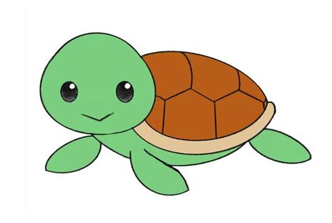 How to draw cute turtle step by step | Easy drawing turtle - HTFunny